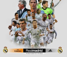 新手入门指南：九游网页版入口