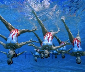 全面解析：九游娱乐